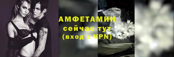 прущий лед Вяземский